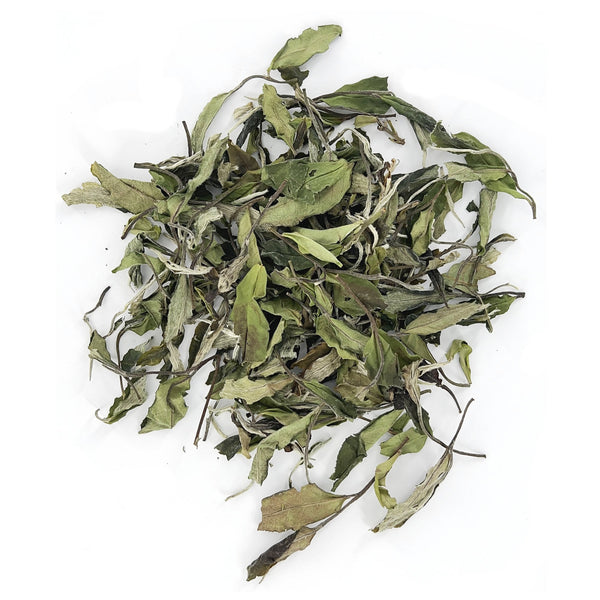 Bai Mudan White Tea