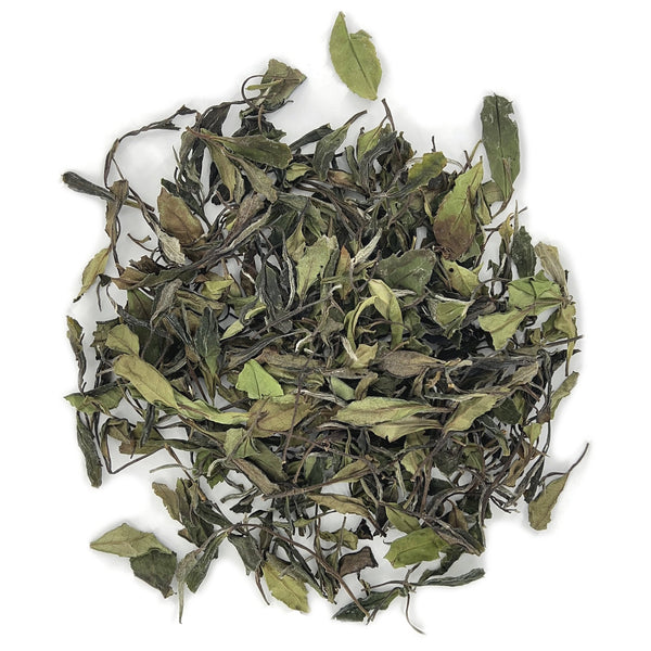 Gongmei White Tea